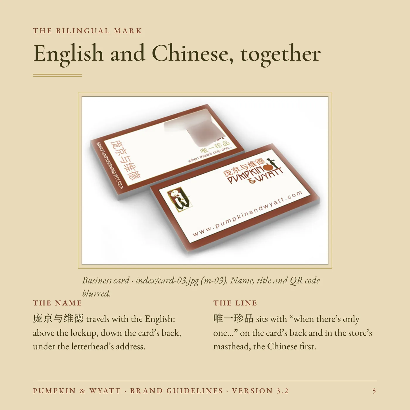 Brand Guidelines, page 5