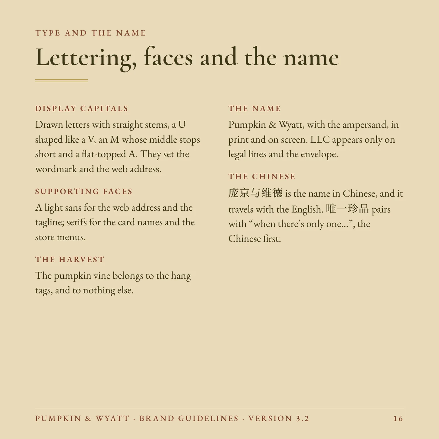 Brand Guidelines, page 16
